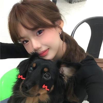 真爱满屋2：真假金龟婿